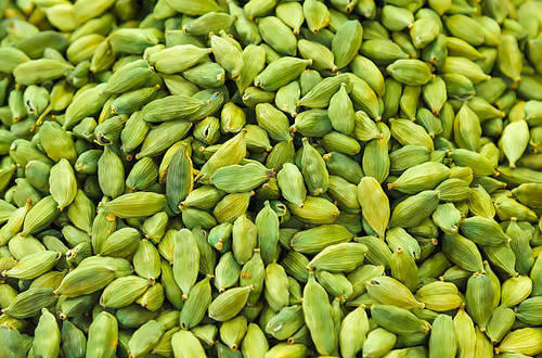 Cardamom