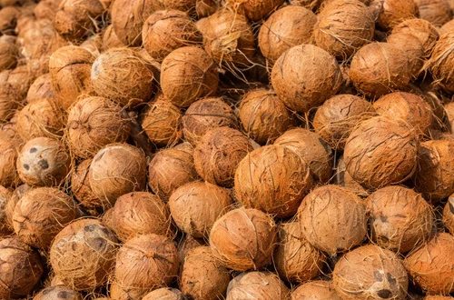 Coconut