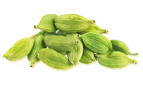 cardamom