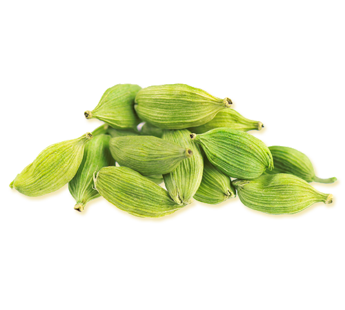 best pineaaple exporters in india